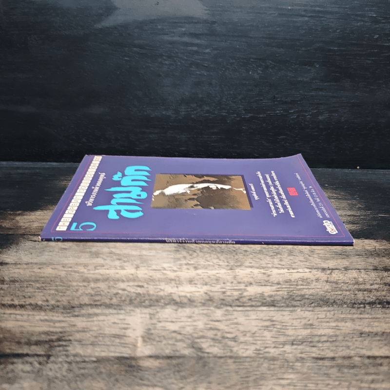 บริหารงานด้วยกลยุทธ์สามก๊ก - บุญศักดิ์ แสงระวี