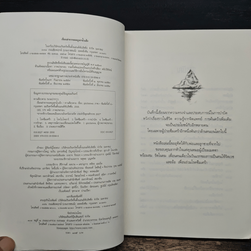 เรื่องเล่าจากยอดภูเขาน้ำแข็ง - ดาวเดียวดาย