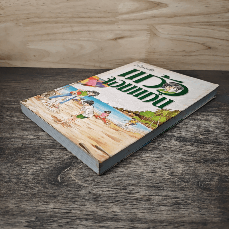 แก้วจอมแก่น - แว่นแก้ว