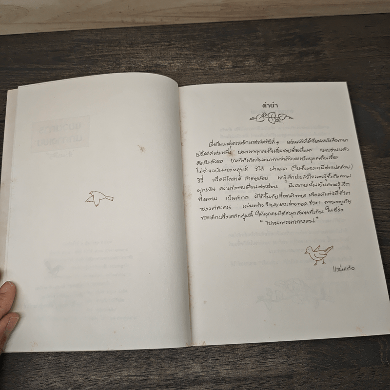 ขบวนการนกกางเขน - แว่นแก้ว