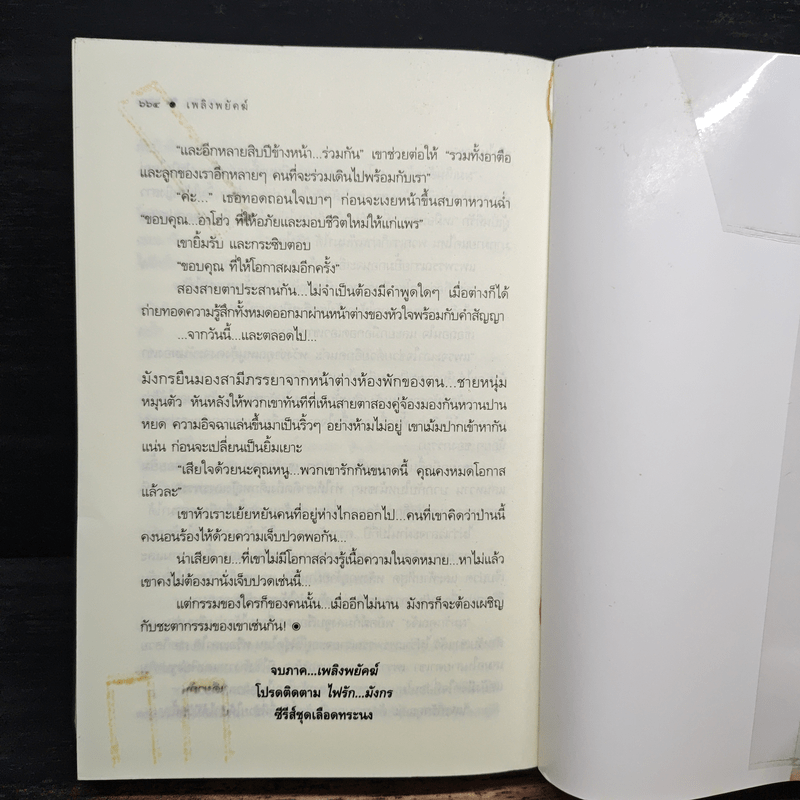 เพลิงพยัคฆ์ - ณารา