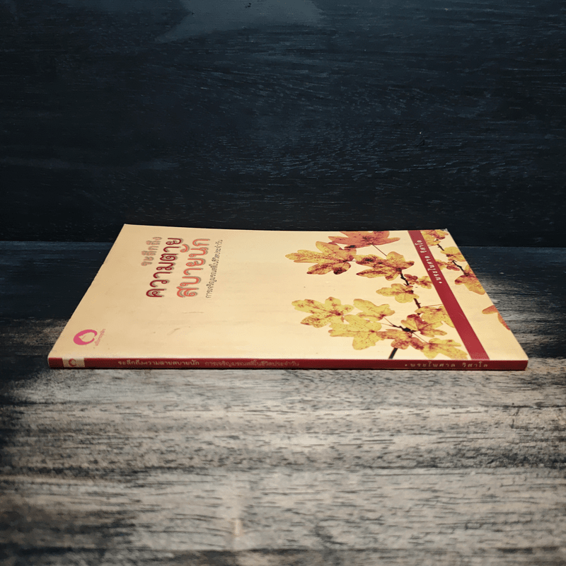 ระลึกถึงความตายสบายนัก การเจริญมรณสติในชีวิตประจำวัน - พระไพศาล วิสาโล