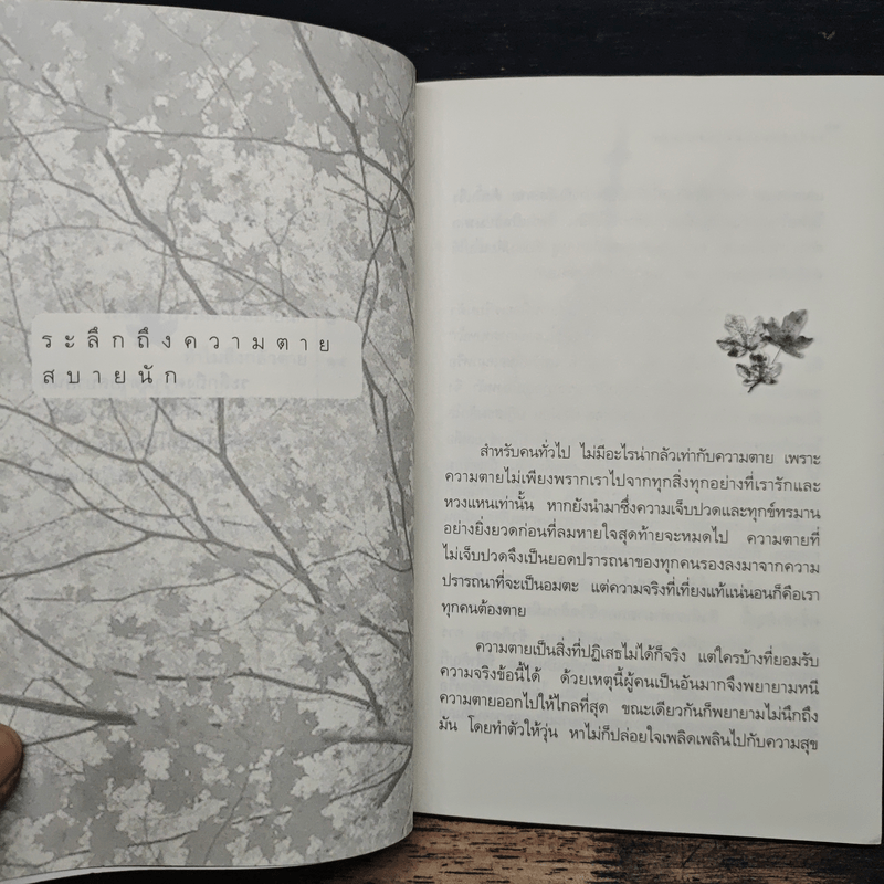 ระลึกถึงความตายสบายนัก การเจริญมรณสติในชีวิตประจำวัน - พระไพศาล วิสาโล