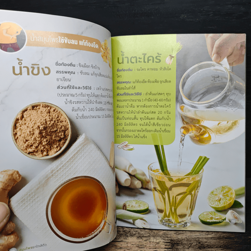 สมุนไพร ยาใกล้ตัว