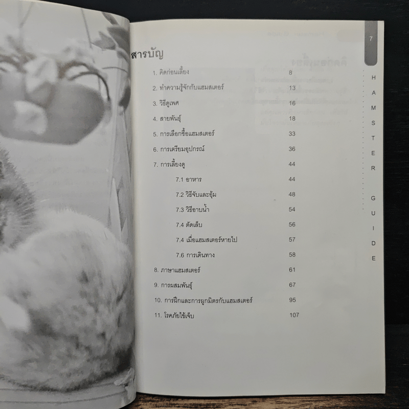Hamster Guide ฉบับสมบูรณ์ที่สุด