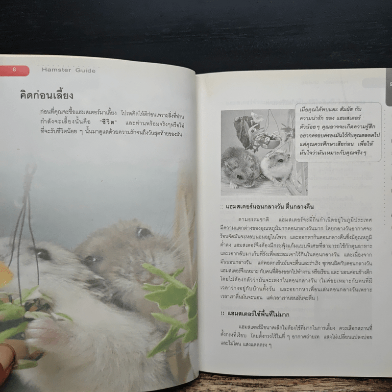 Hamster Guide ฉบับสมบูรณ์ที่สุด