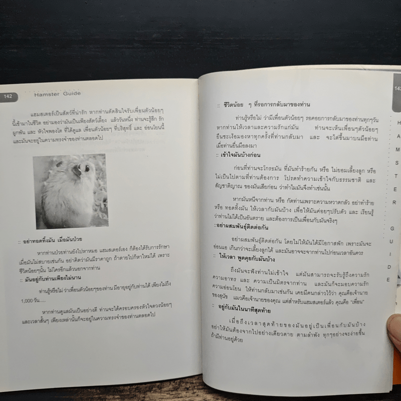 Hamster Guide ฉบับสมบูรณ์ที่สุด