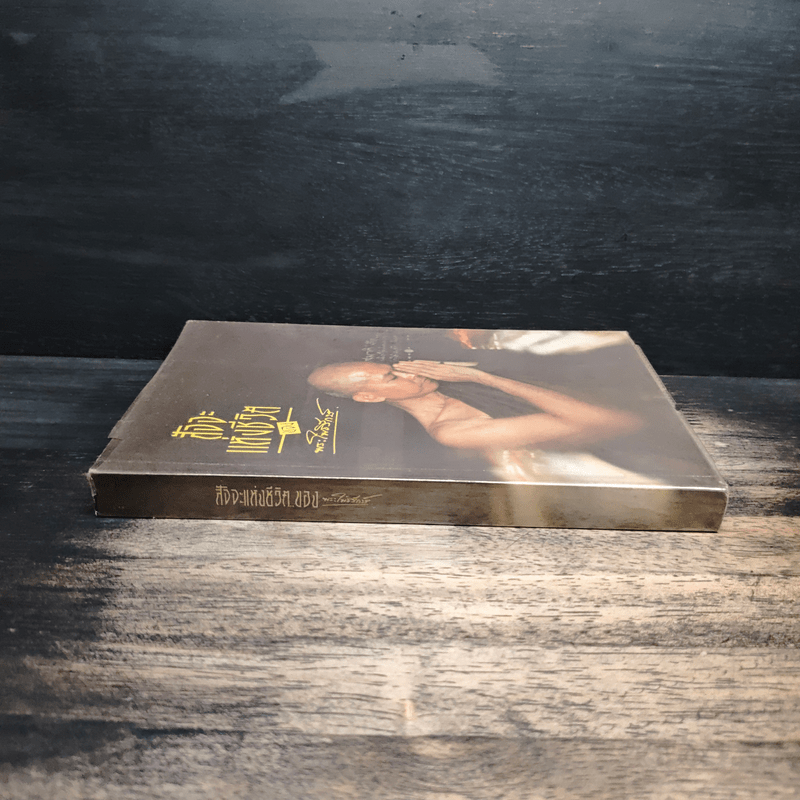 สัจจะแห่งชีวิต ของ พระโพธิรักษ์