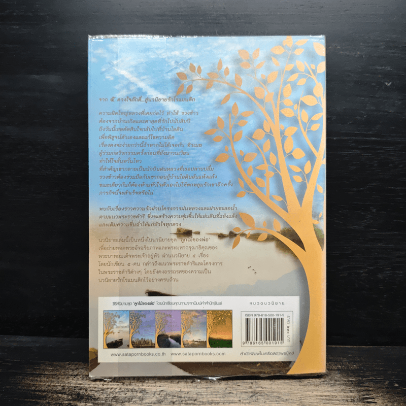 ในม่านเมฆ - ร่มแก้ว