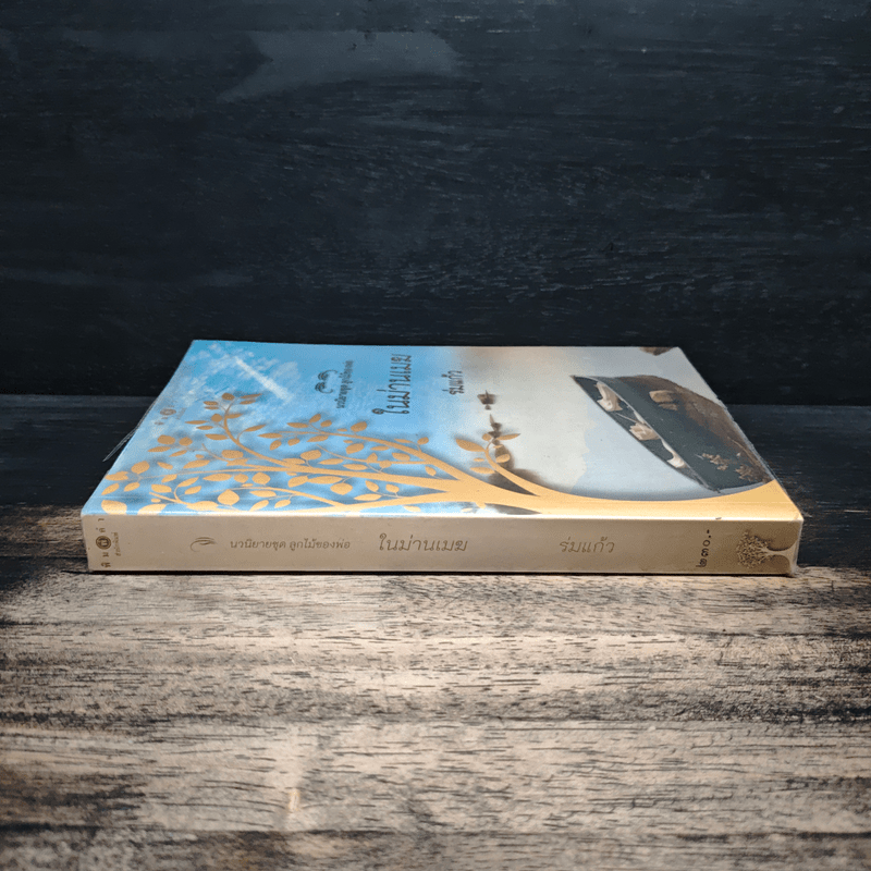 ในม่านเมฆ - ร่มแก้ว