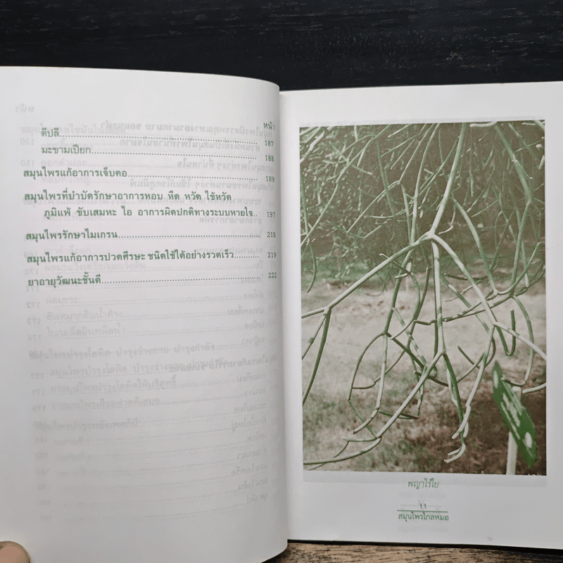 พืชมหัศจรรย์สมุนไพรไกลหมอ - ภาณุทรรศน์