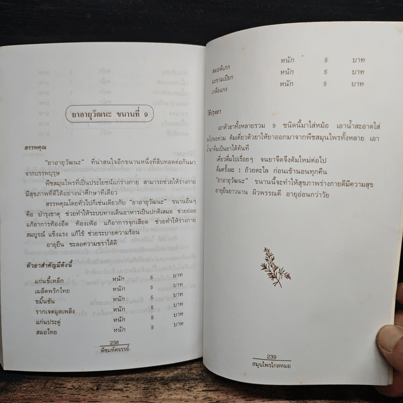 พืชมหัศจรรย์สมุนไพรไกลหมอ - ภาณุทรรศน์