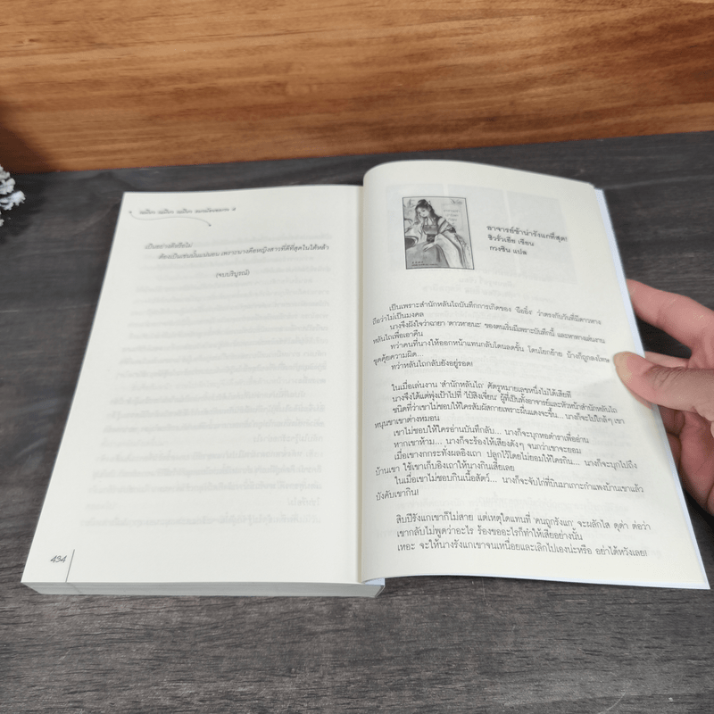 เหมียว เหมียว เหมียว แมวน้อยอลเวง 4 เล่มจบ - จวี๋ฮวาซั่นหลี่