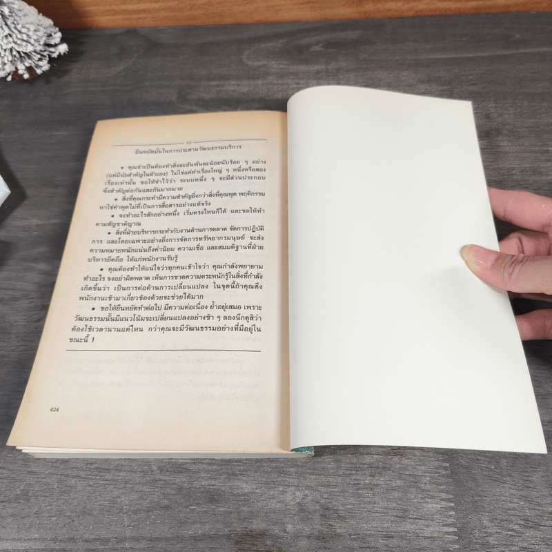 บริการเหนือเมฆ - เบนจามิน ชไนเดอร์, เดวิด อี. โบเวน