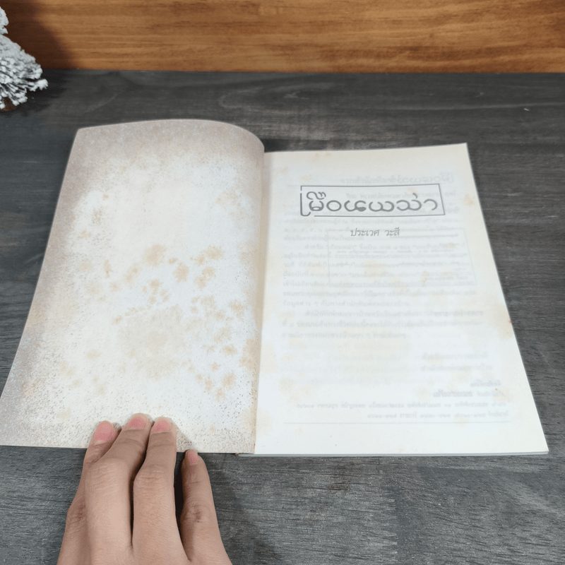 เยือนพม่า - ประเวศ วะสี