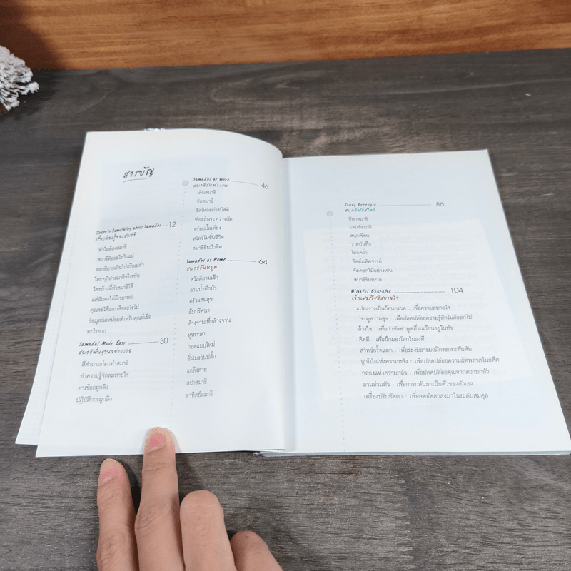 สมาธิไม่เลือกที่ Samadhi Everywhere - อมิตา อริยอัชฌา