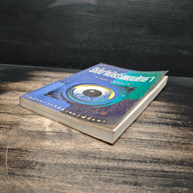 รีเอ็นจิเนียริ่งแบบไทยๆ - ศิริชัย สายพัฒนา