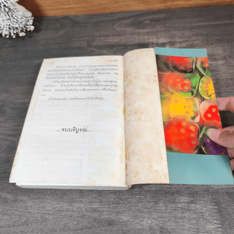 ปลาหนีน้ำ - สิริมา อภิจาริน