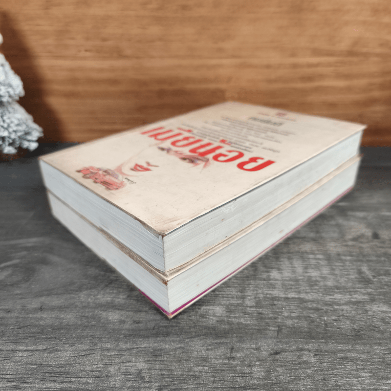 เมียน้อย 2 เล่มจบ - ทมยันตี