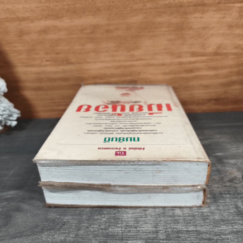 เมียน้อย 2 เล่มจบ - ทมยันตี