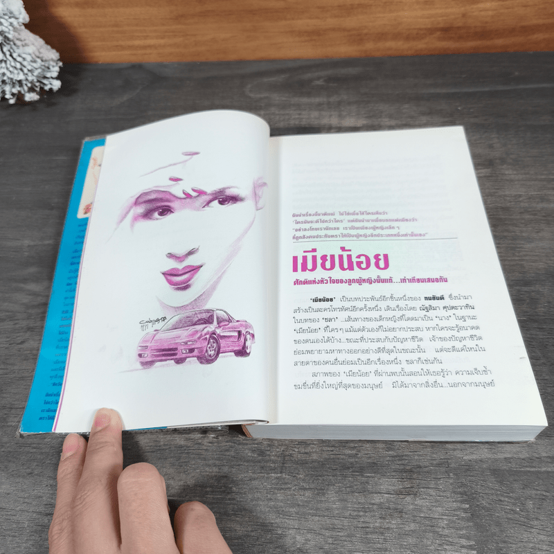 เมียน้อย 2 เล่มจบ - ทมยันตี