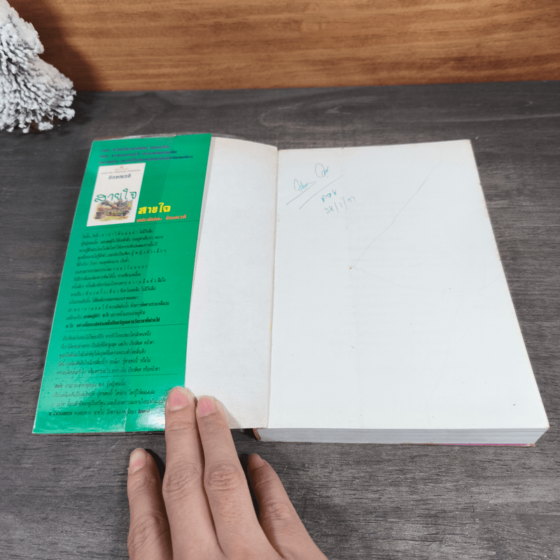 เมียน้อย 2 เล่มจบ - ทมยันตี