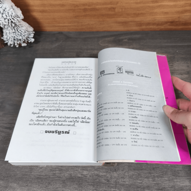 เมียน้อย 2 เล่มจบ - ทมยันตี