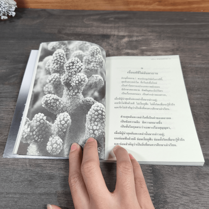 พุทธวจน ตามรอยธรรม