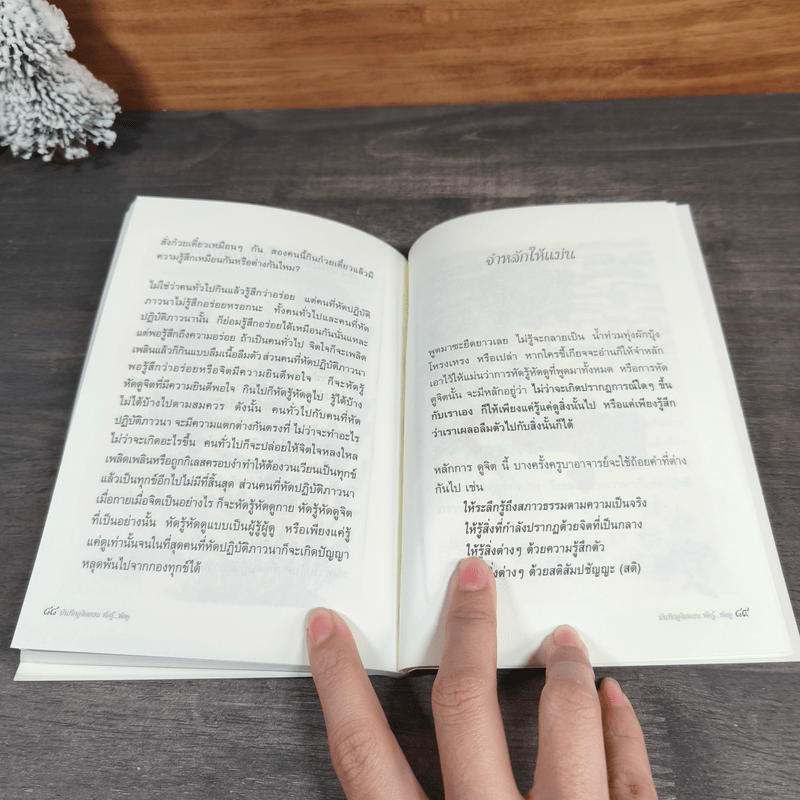 บันทึกดูจิต ตอน หัดรู้...หัดดู - สุรวัฒน์ เสรีวิวัฒนา