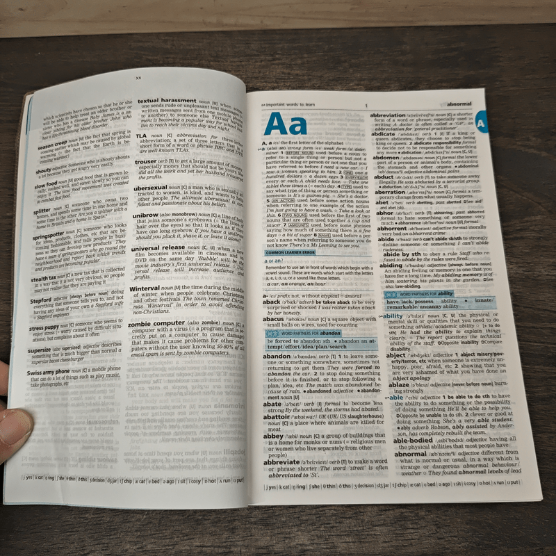 Cambridge Learner's Dictionary