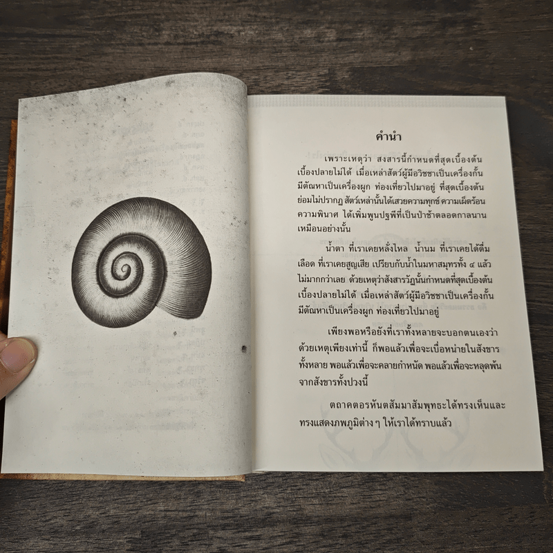 พุทธวจน - ภพภูมิ