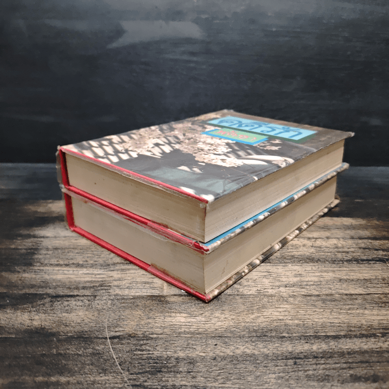 คดีรัก 2 เล่มจบ - พัดชา