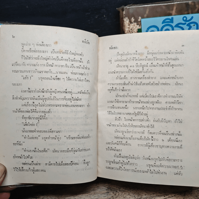 คดีรัก 2 เล่มจบ - พัดชา