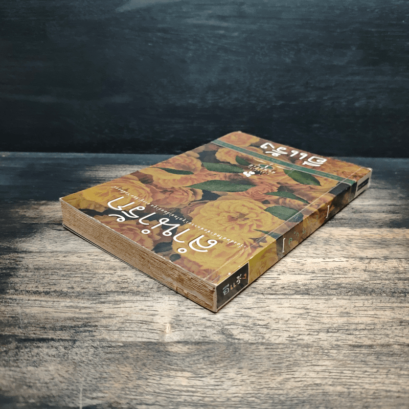 ลำนำรัก - อีแร้ง