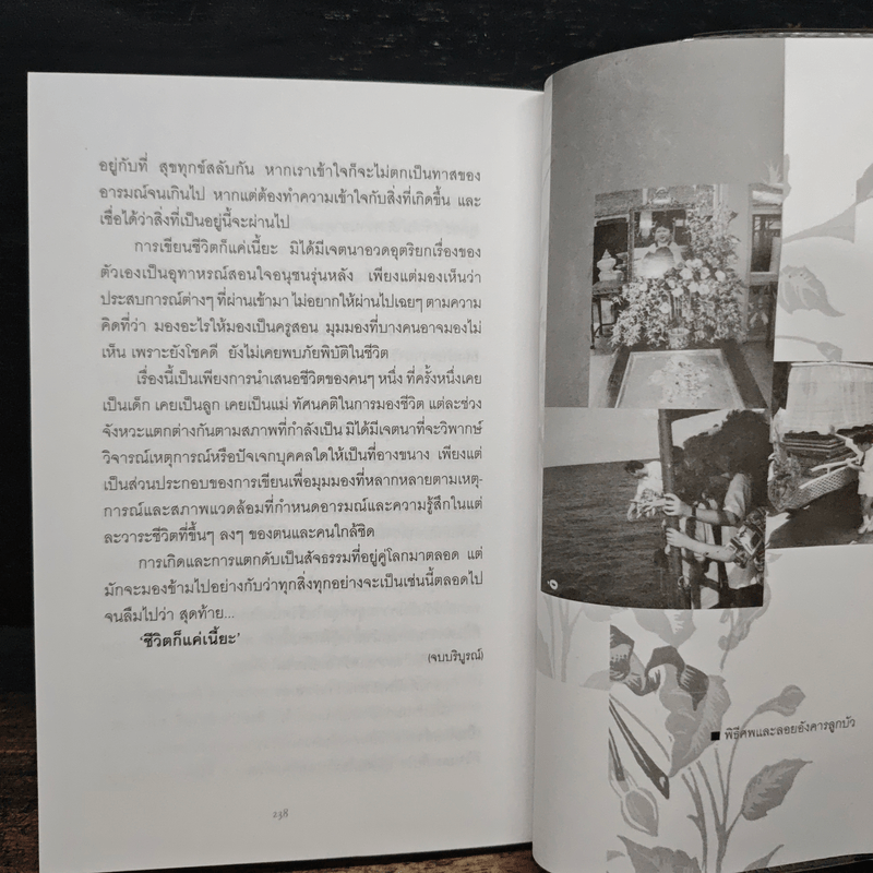 ชีวิตก็แค่เนี๊ยะ - ผาสุก ถมยา