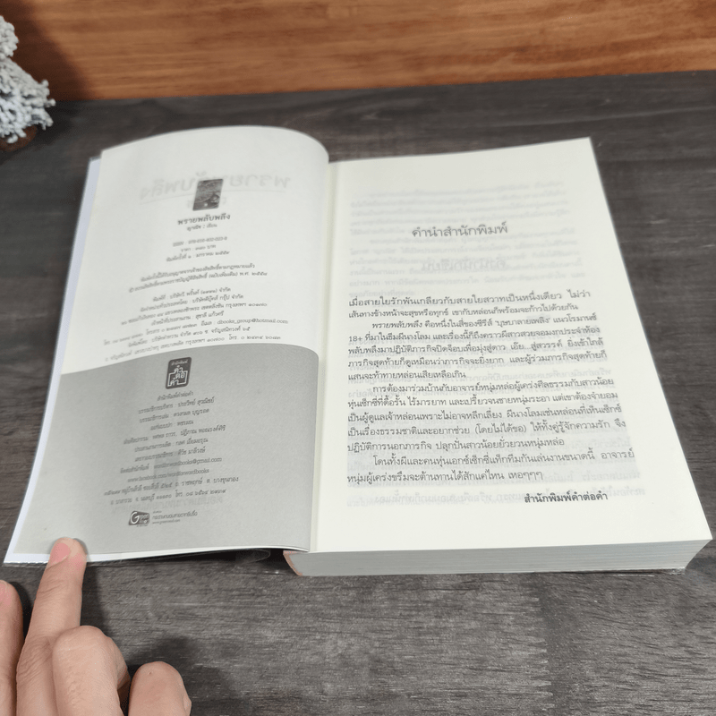 พรายพลับพลึง - ญาณิช