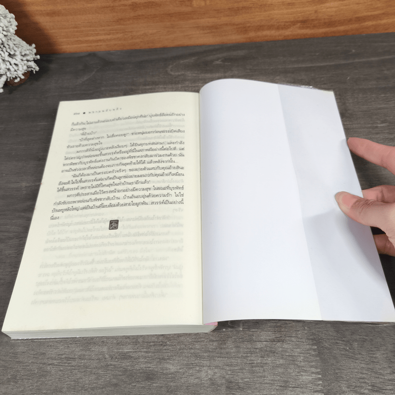 พรายพลับพลึง - ญาณิช