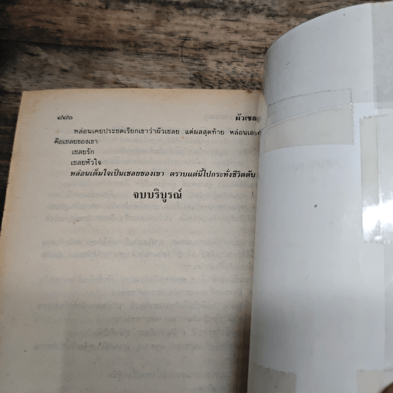 ผัวเชลย - จามรี พรรณชมพู