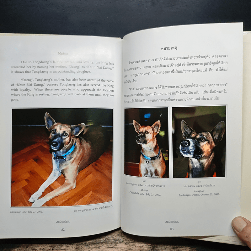 เรื่องทองแดง The Story of Tongdaeng - พระบาทสมเด็จพระเจ้าอยู่หัวภูมิพลอดุลยเดช