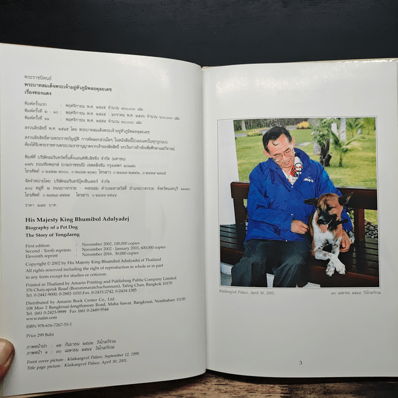 เรื่องทองแดง The Story of Tongdaeng ฉบับการ์ตูน ภาพสี