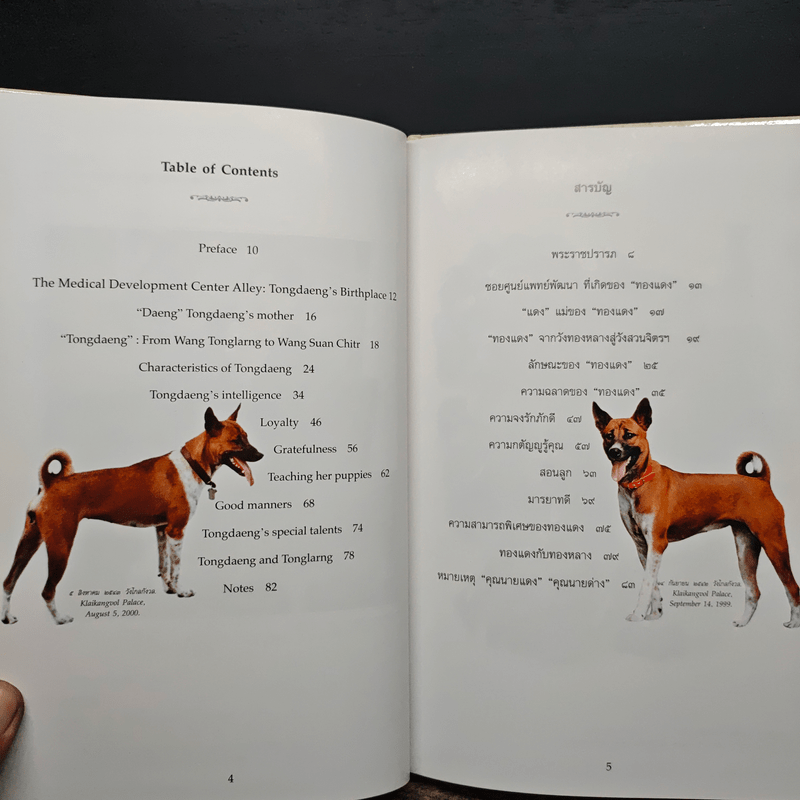 เรื่องทองแดง The Story of Tongdaeng ฉบับการ์ตูน ภาพสี