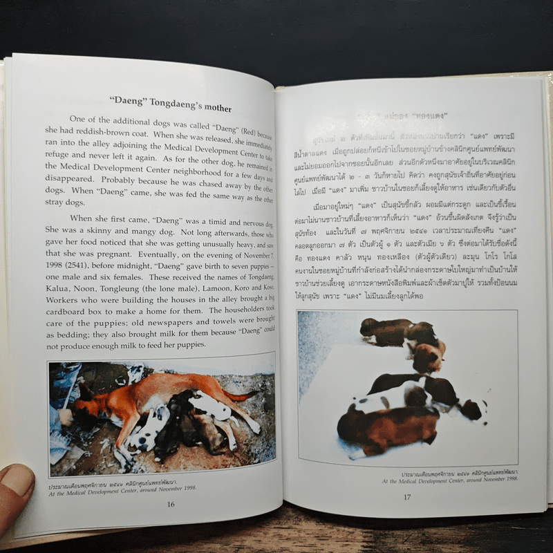 เรื่องทองแดง The Story of Tongdaeng ฉบับการ์ตูน ภาพสี