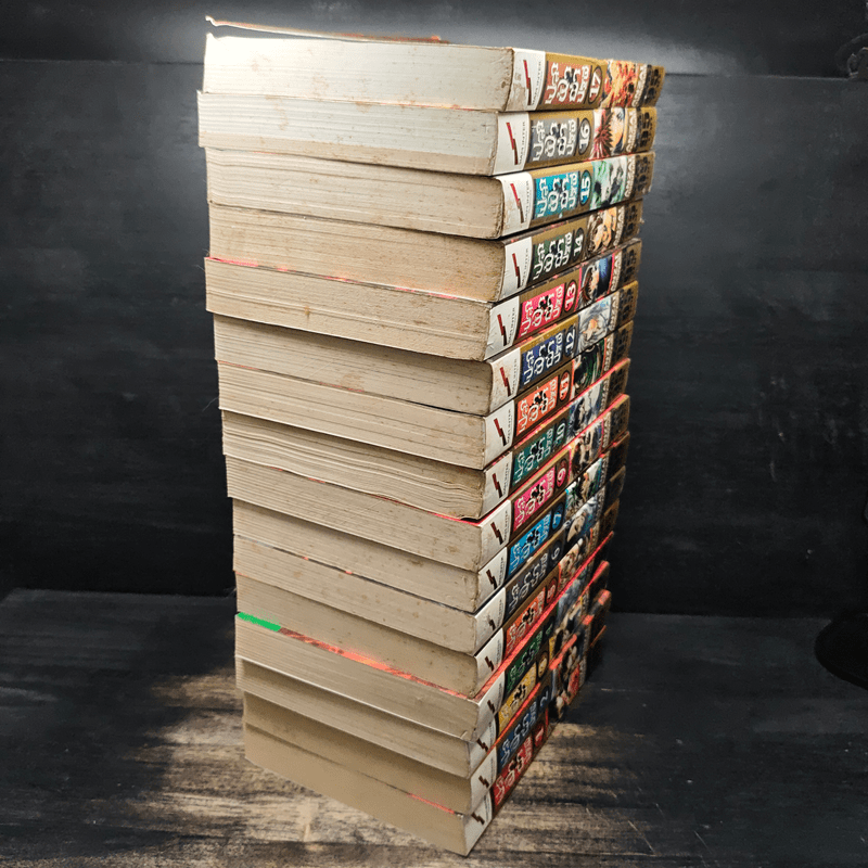 เปลวฟ้าผ่าปฐพี เล่ม 1-17