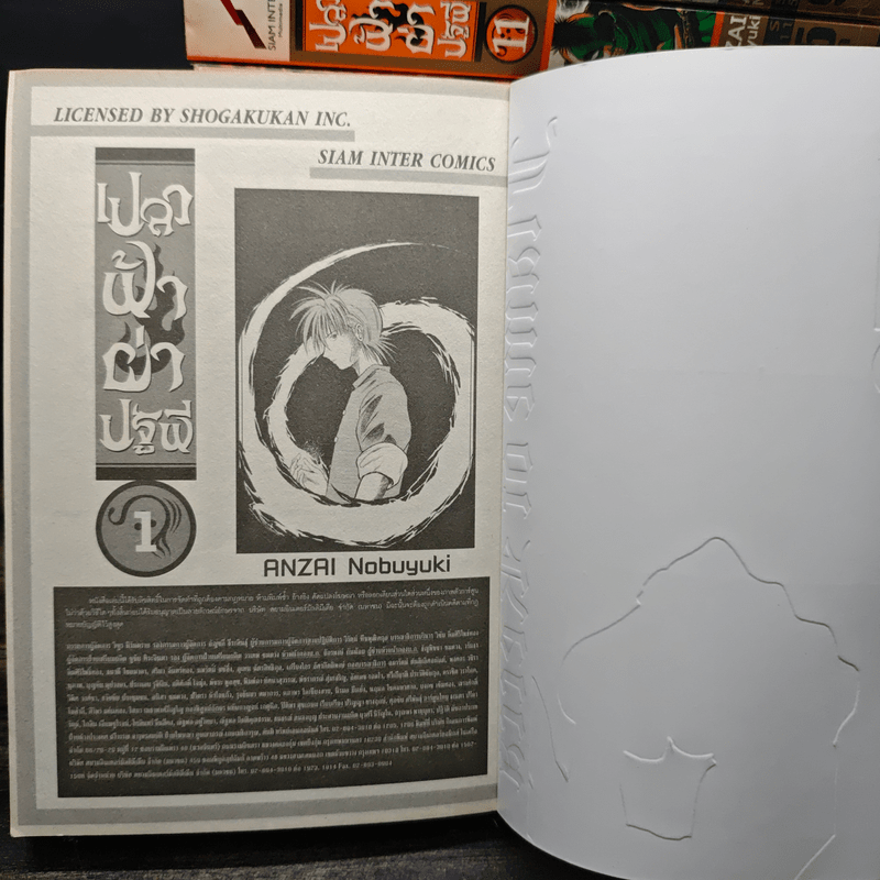 เปลวฟ้าผ่าปฐพี เล่ม 1-17