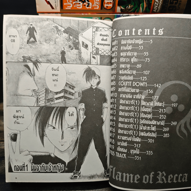 เปลวฟ้าผ่าปฐพี เล่ม 1-17