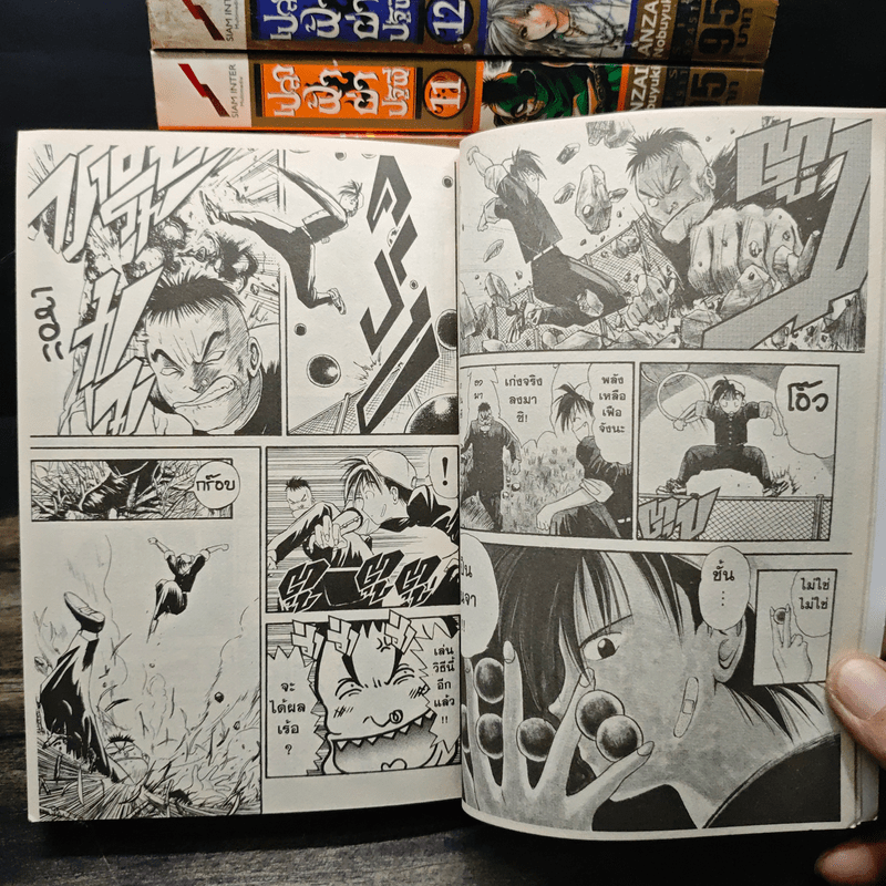 เปลวฟ้าผ่าปฐพี เล่ม 1-17