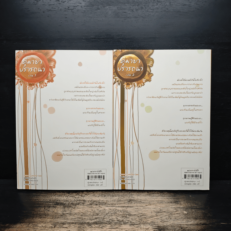 คู่มายาปรารถนา ชุด เสน่ห์เงามาร 2 เล่มจบ - เฮยเจี๋ยหมิง