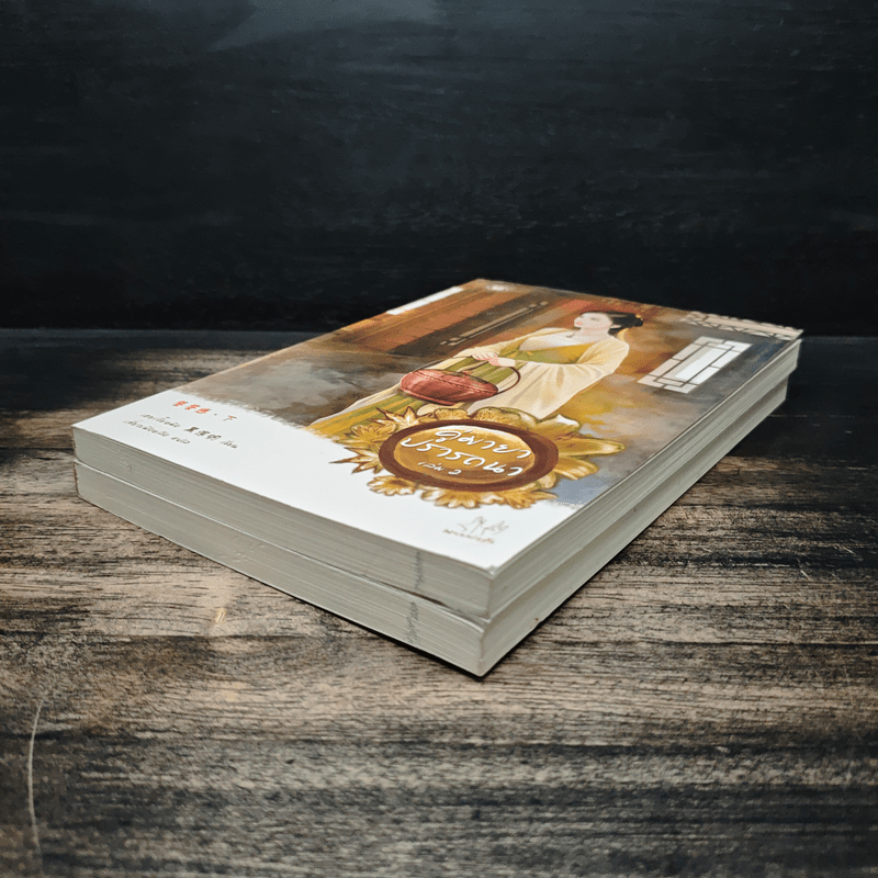 คู่มายาปรารถนา ชุด เสน่ห์เงามาร 2 เล่มจบ - เฮยเจี๋ยหมิง