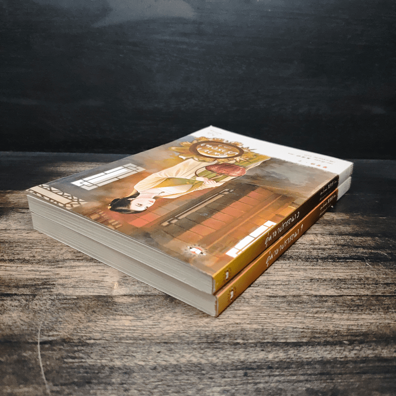 คู่มายาปรารถนา ชุด เสน่ห์เงามาร 2 เล่มจบ - เฮยเจี๋ยหมิง