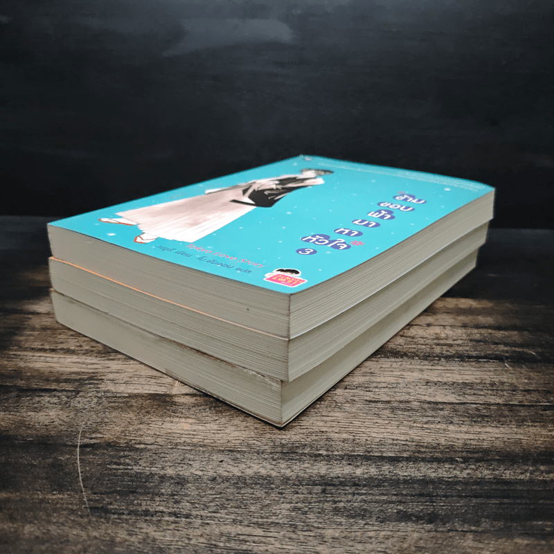 ข้ามขอบฟ้ามาหาหัวใจ เล่ม 1-3 - Choi Yu Ri, ใบ ยัมจอน